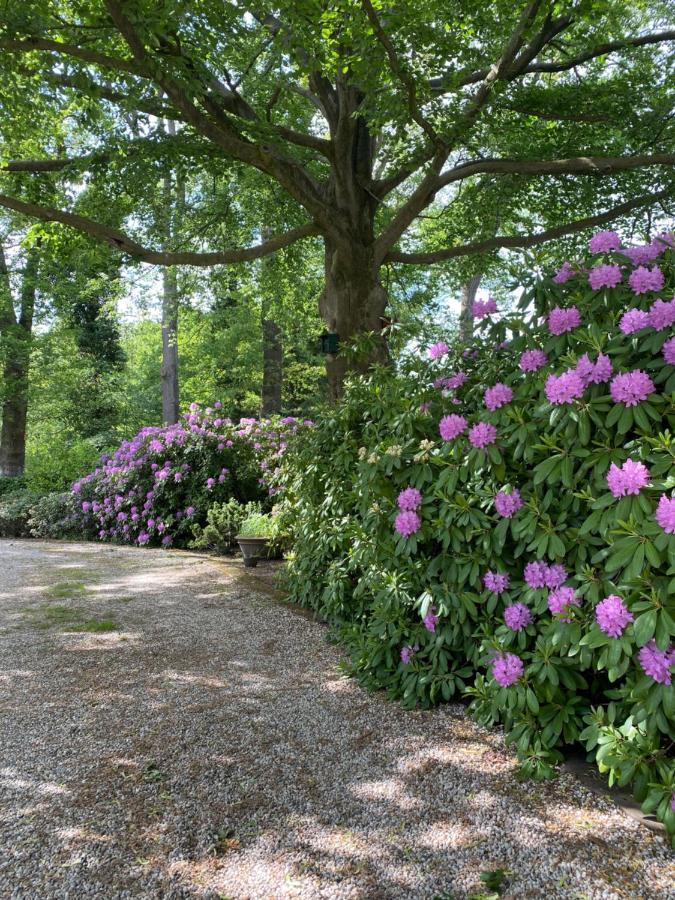 Bed And Breakfast Villa Beldershoek Hengelo  Exterior foto